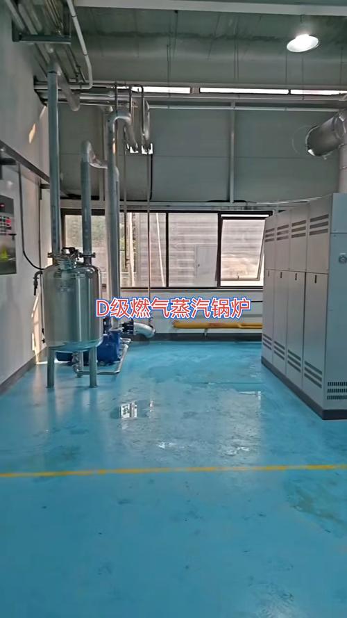 工業(yè)管道細節(jié)與自動化生產(chǎn)線的協(xié)同優(yōu)化 以D級燃氣蒸汽鍋爐為例